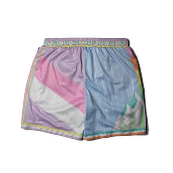 Trillest Establishment "What the Pastel?!" Shorts - Picture 1 of 3